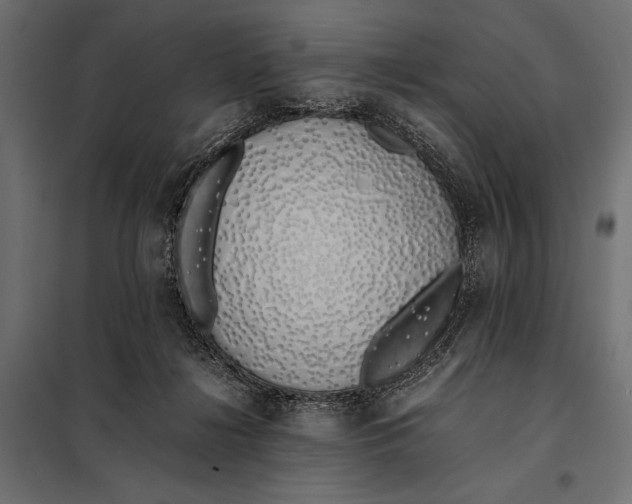 X0000098080268200804251520