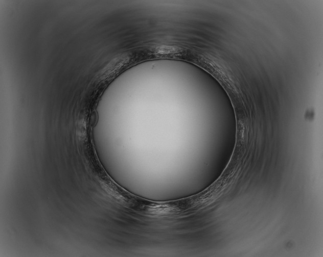 X0000098080269200804251520