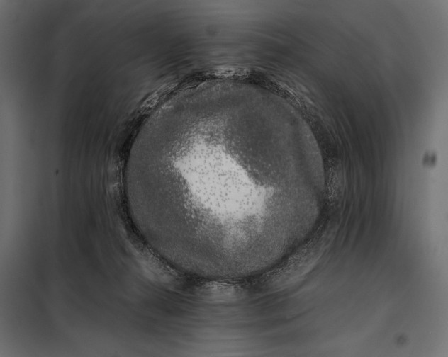 X0000098080272200804251520