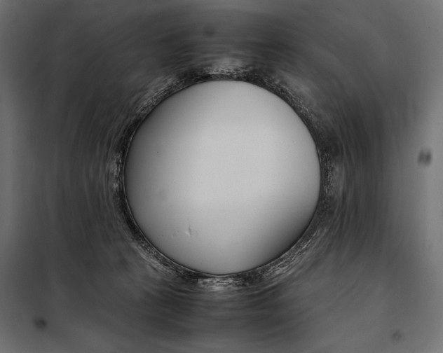 X0000098080273200804251520