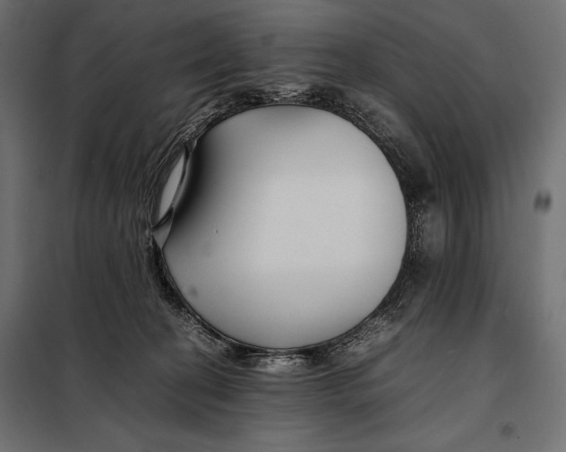 X0000098080274200804251520