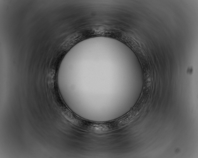 X0000098080275200804251520