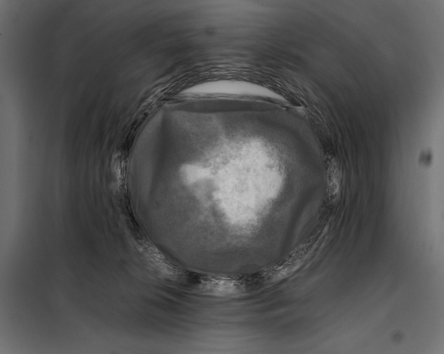 X0000098080276200804251520