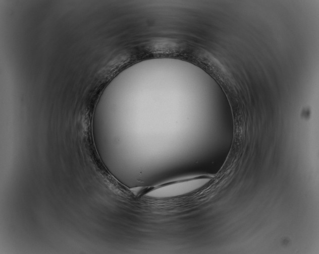 X0000098080277200804251520