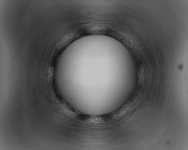 X0000098080278200804251520