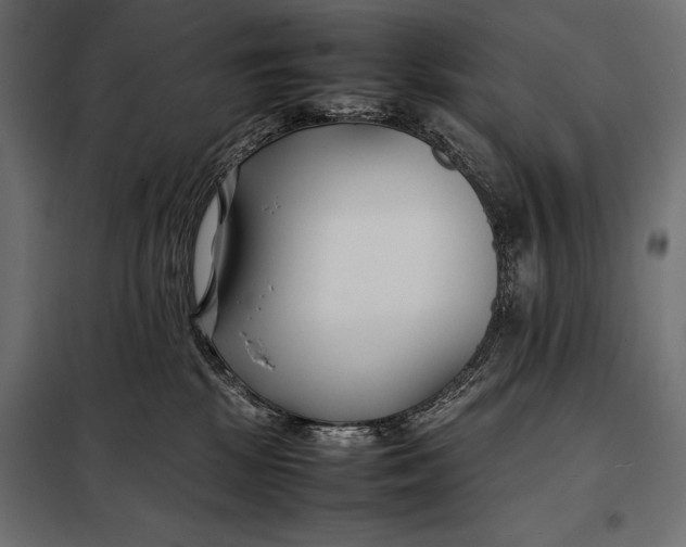 X0000098080281200804251520