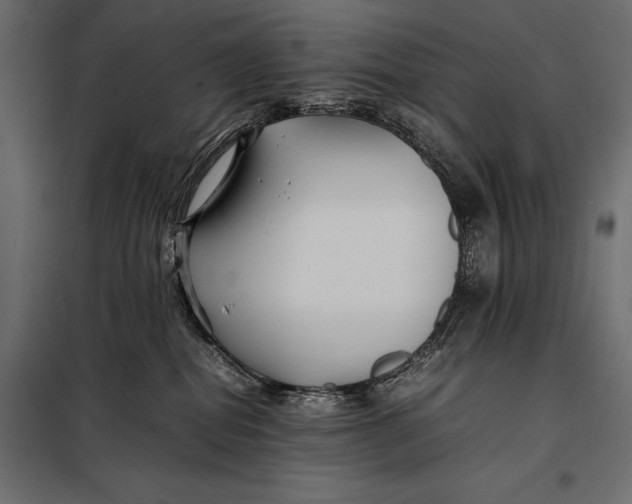 X0000098080282200804251520