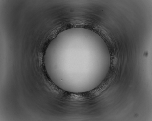 X0000098080283200804251520