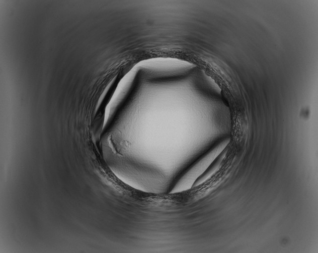 X0000098080284200804251520