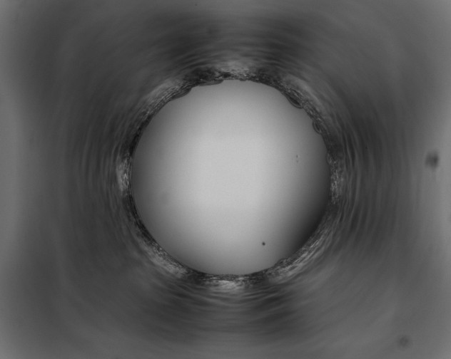 X0000098080285200804251520