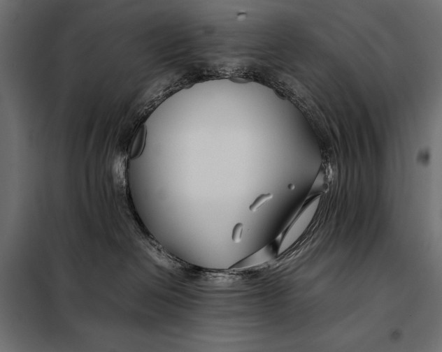 X0000098080286200804251520