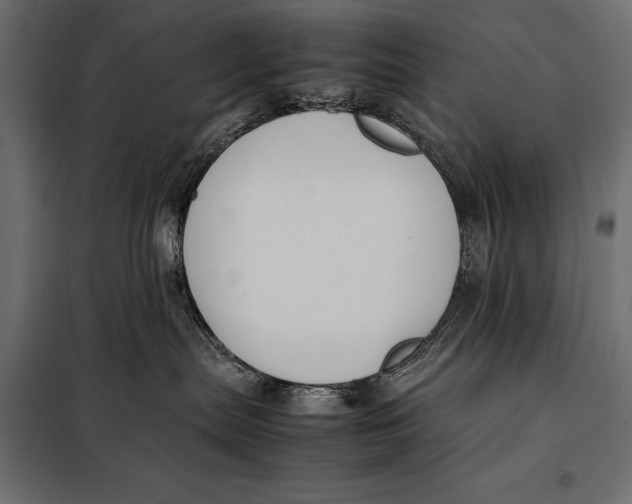 X0000098080287200804251520