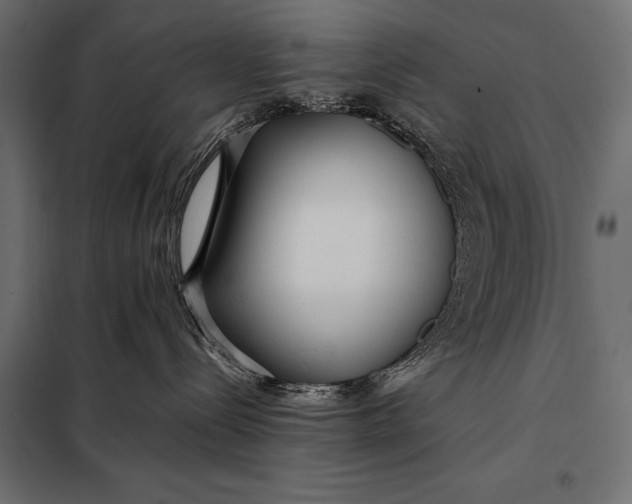 X0000098080288200804251520