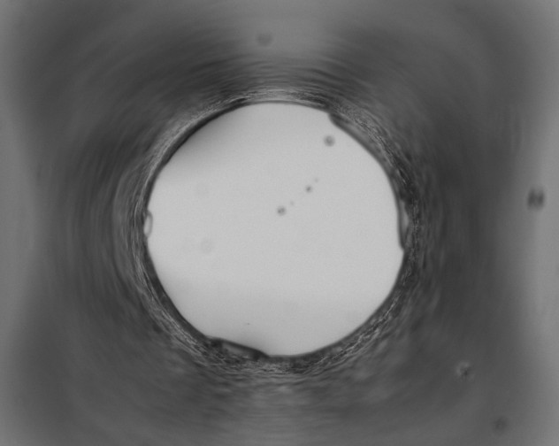 X0000098080289200804251519