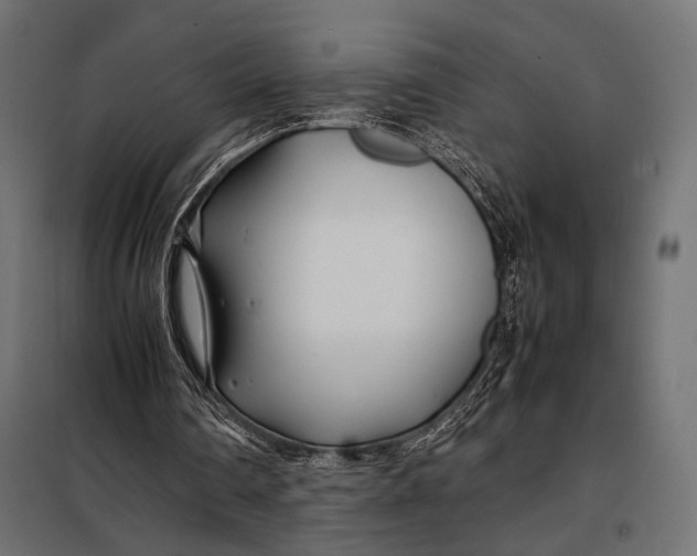 X0000098080290200804251519