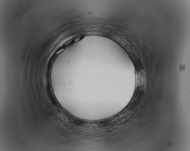 X0000098080291200804251519