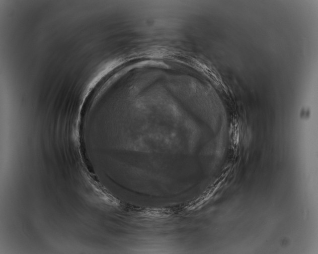 X0000098080292200804251519