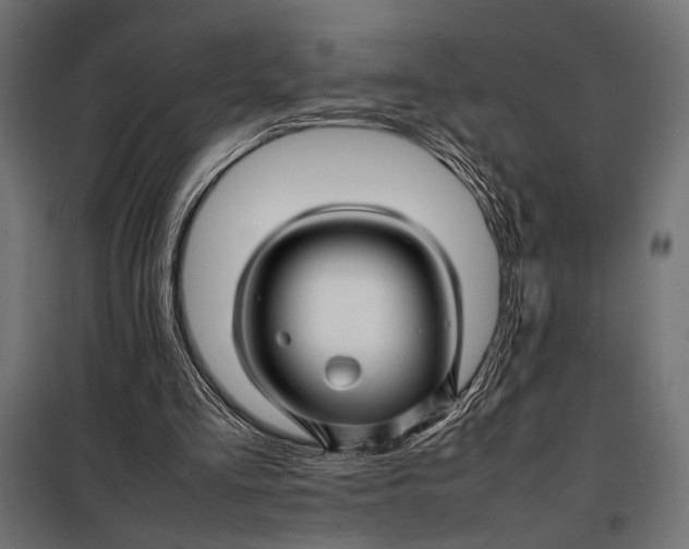 X0000098080293200804251519