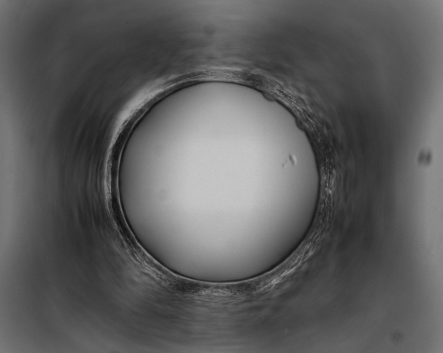 X0000098080294200804251519