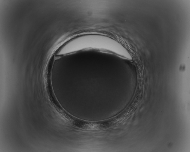 X0000098080295200804251519