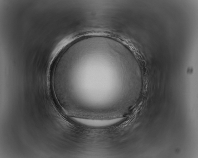 X0000098080296200804251519