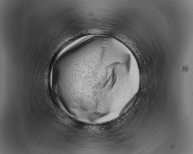 X0000098080297200804251519