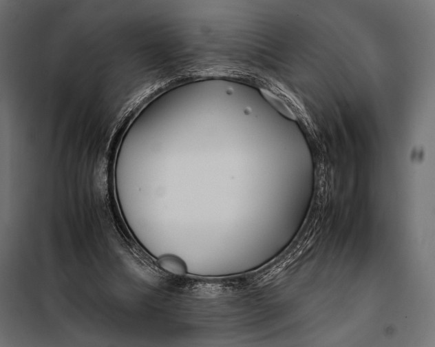 X0000098080298200804251519