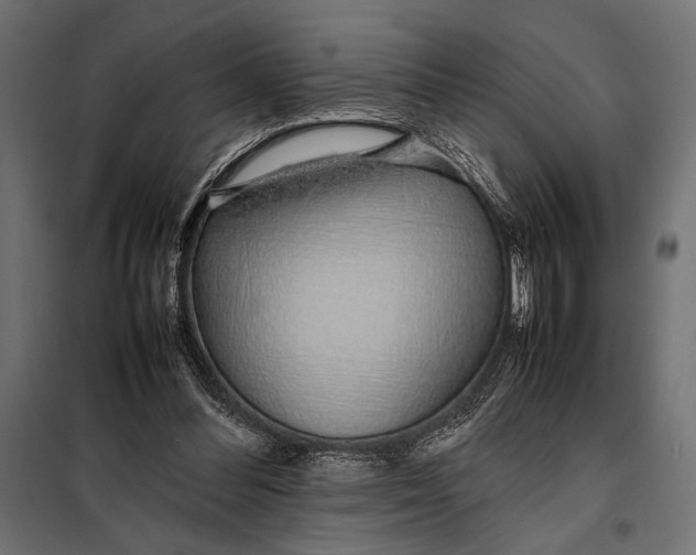 X0000098080300200804251519