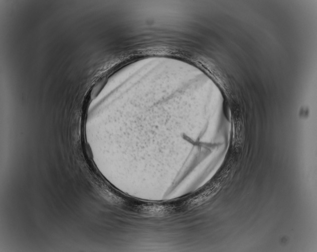 X0000098080301200804251519