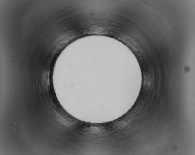 X0000098080302200804251519