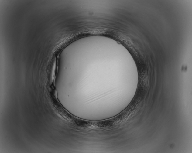 X0000098080303200804251519