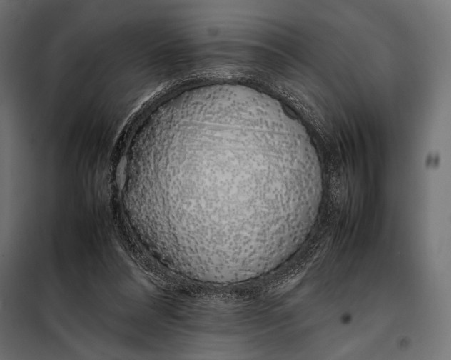 X0000098080304200804251519