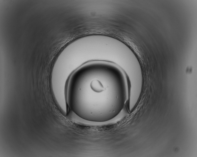 X0000098080305200804251519