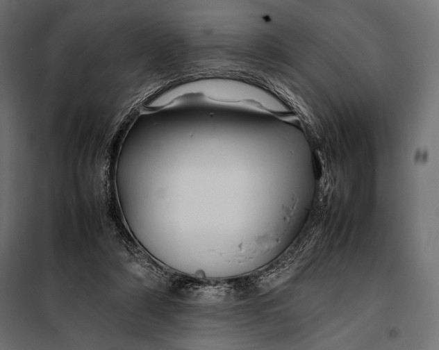 X0000098080306200804251519