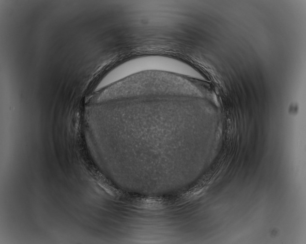 X0000098080308200804251519