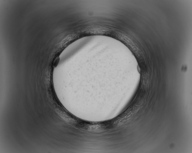 X0000098080309200804251519