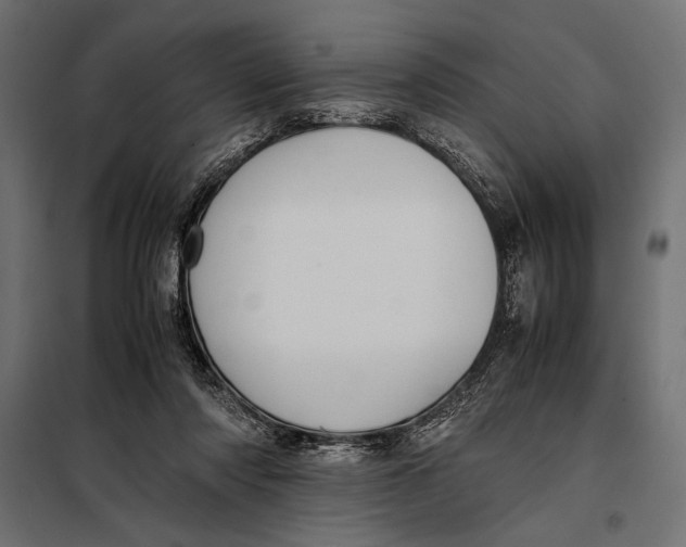 X0000098080310200804251519