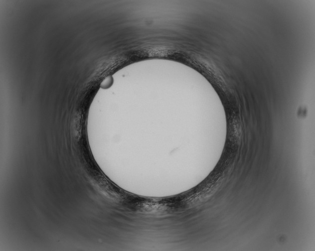 X0000098080311200804251519