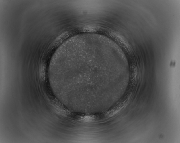 X0000098080312200804251519