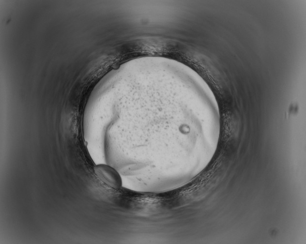 X0000098080313200804251519