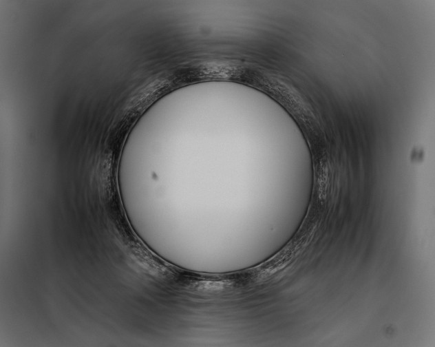 X0000098080314200804251519