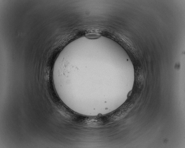 X0000098080315200804251519