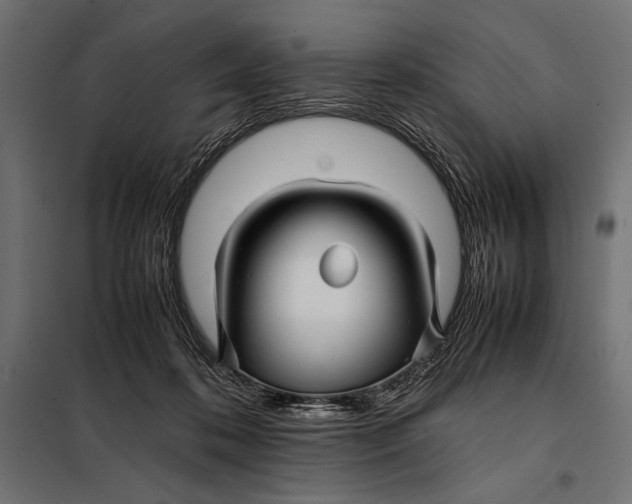 X0000098080316200804251519