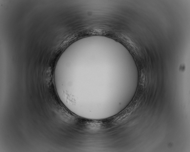 X0000098080318200804251519