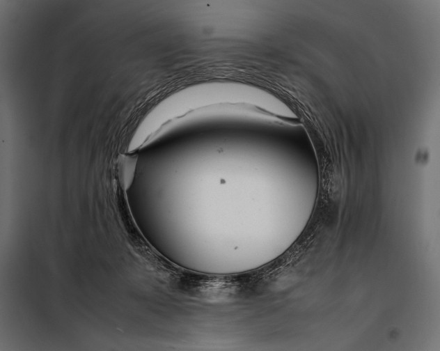 X0000098080319200804251519