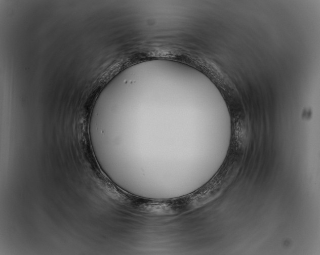 X0000098080322200804251519