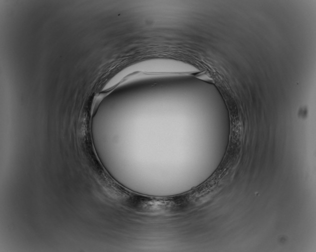 X0000098080323200804251519