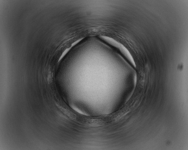 X0000098080324200804251519