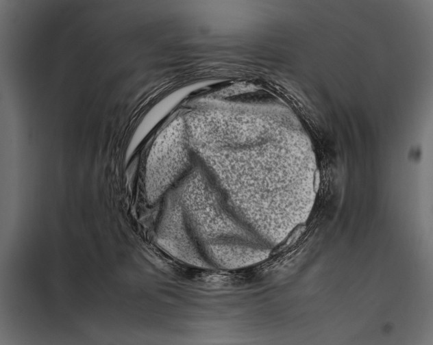 X0000098080325200804251519