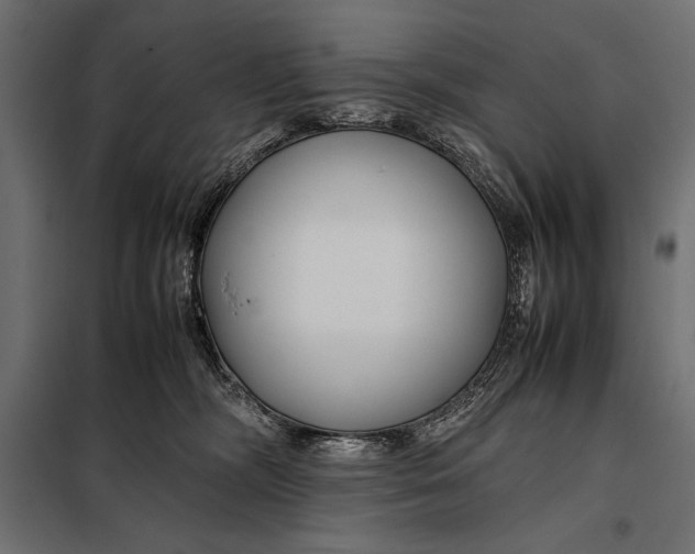 X0000098080326200804251519